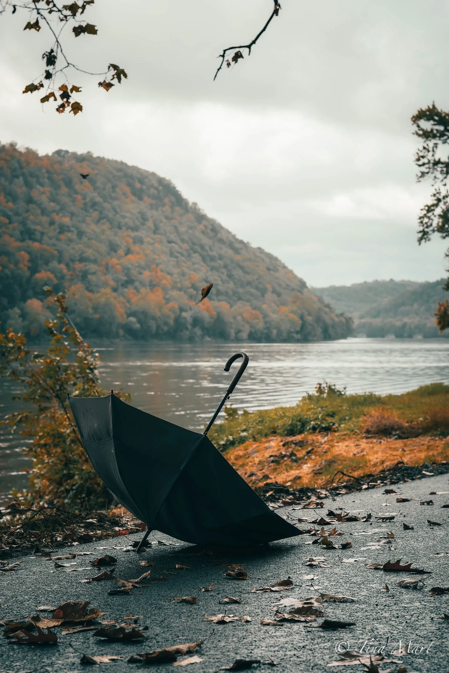 A quiet moment by the river