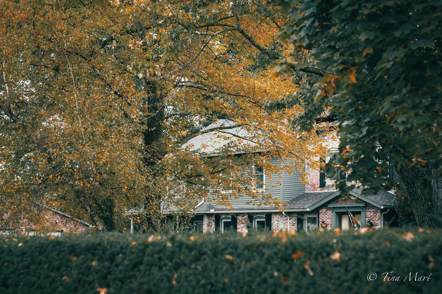 A house nestled among autumn trees, photographed by Tina Mart